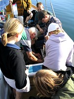 boszkowohydrografia0023.jpg